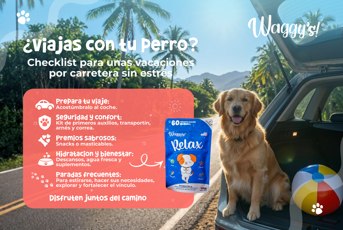 Viajar con perro: check-list para unas vacaciones por carretera sin estrés