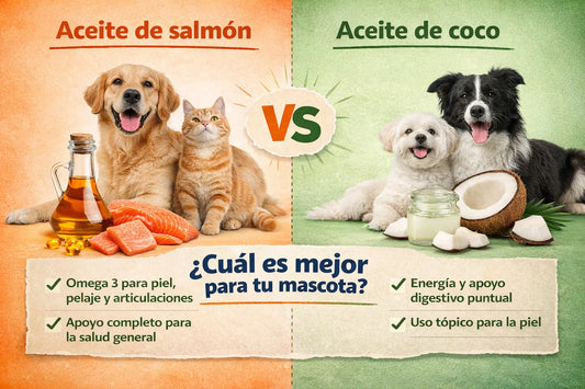 Aceite de salmón vs. aceite de coco: ¿cuál es mejor para tu mascota?