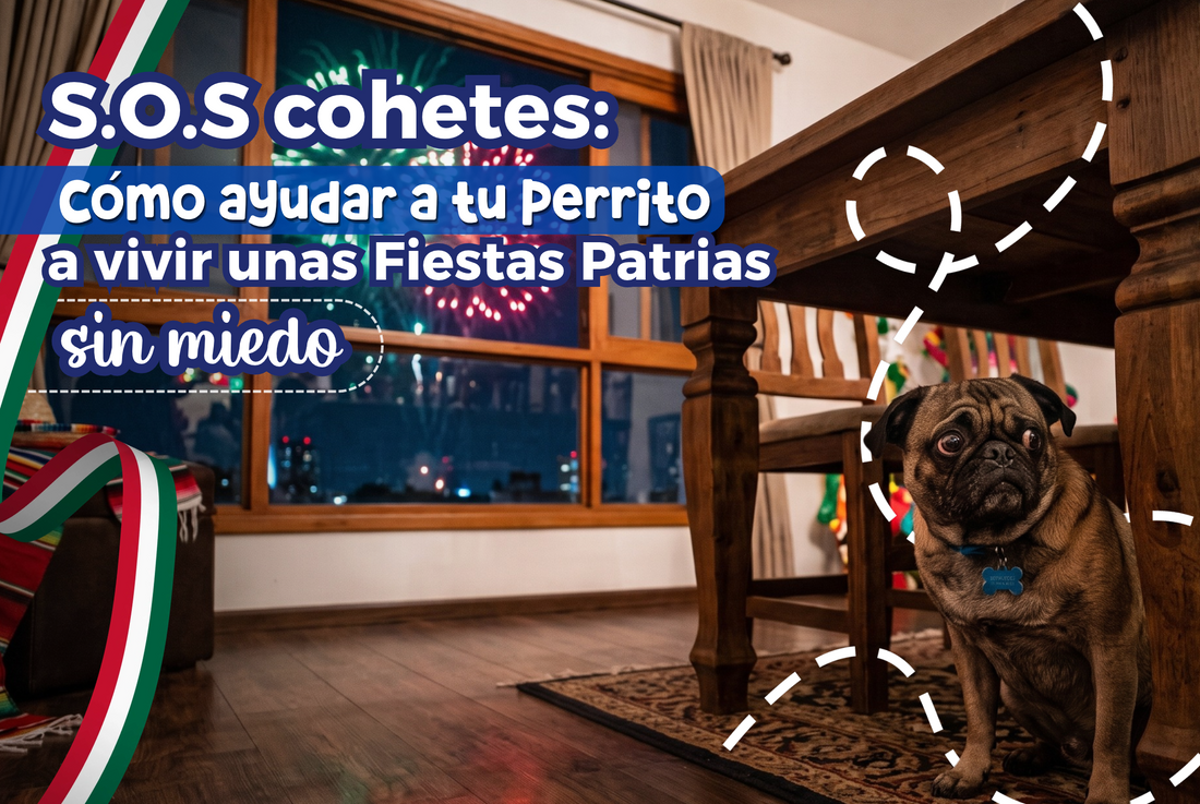SOS cohetes: cómo ayudar a tu perro a vivir unas Fiestas Patrias sin miedo