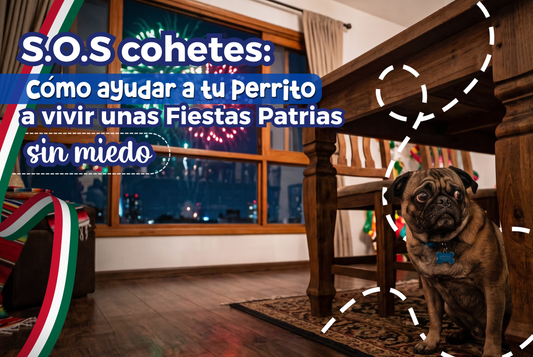 SOS cohetes: cómo ayudar a tu perro a vivir unas Fiestas Patrias sin miedo
