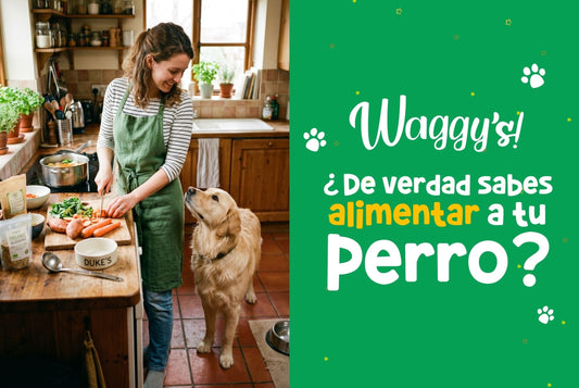 ¿Riesgo en el Plato de Comida? Lo que debes saber antes de cocinarle a tu mejor amigo
