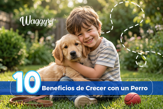 10 Beneficios de Crecer con un Perro