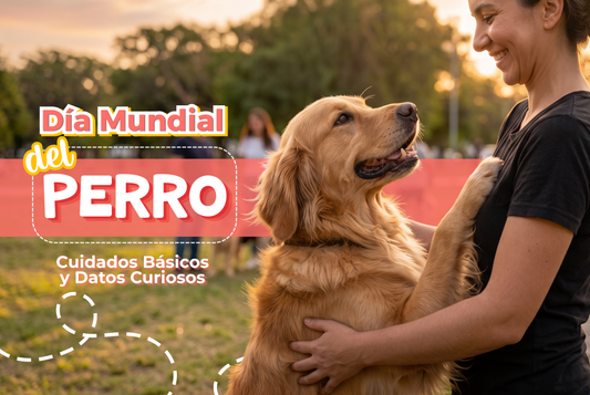 Día Mundial del Perro: Cuidados Básicos y Datos Curiosos