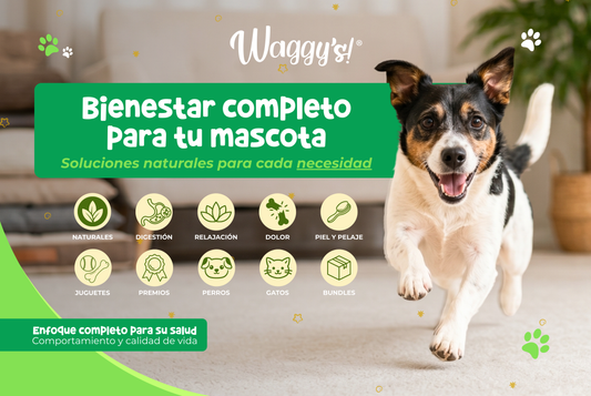 bienestar real para perros y gatos