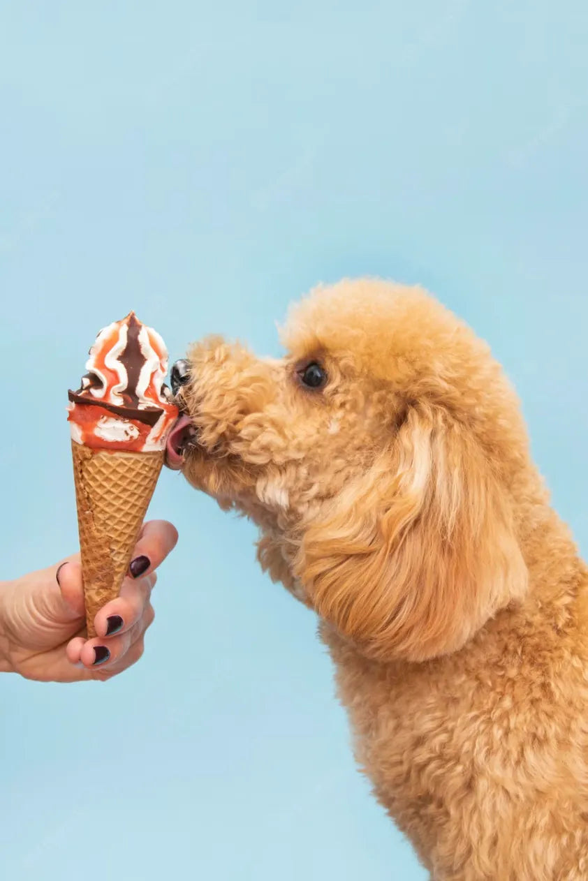 Is chocolate ice clearance cream bad for dogs