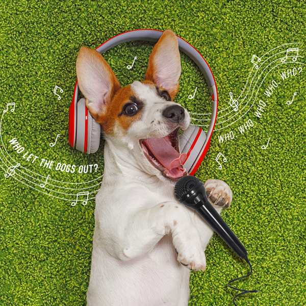 The Top 10 Songs Inspired by Pets