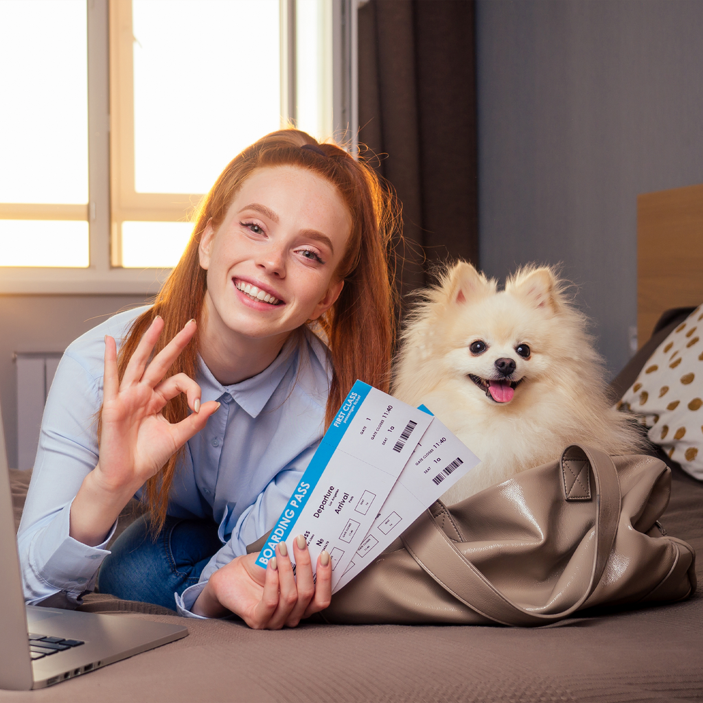 consejos para viajar en avion con tu perro