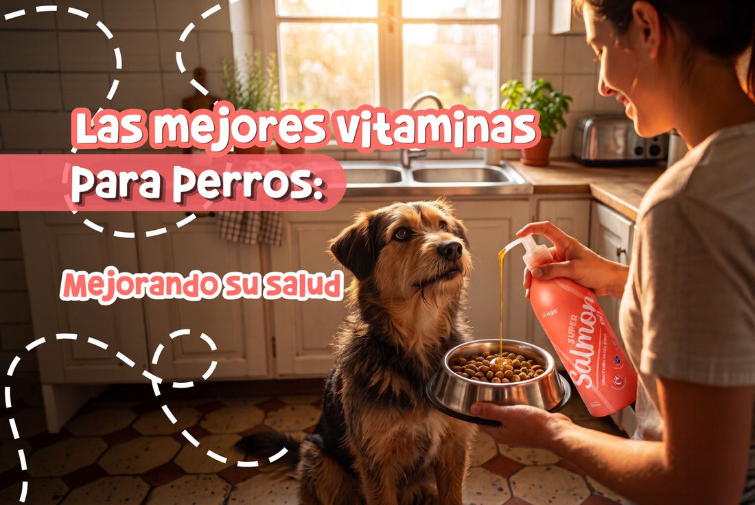 Las mejores vitaminas para perros: Mejorando su salud