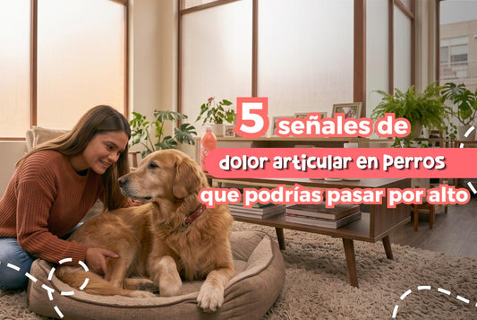 Reconoce estas 5 señales de dolor articular en perros que podrías pasar por alto