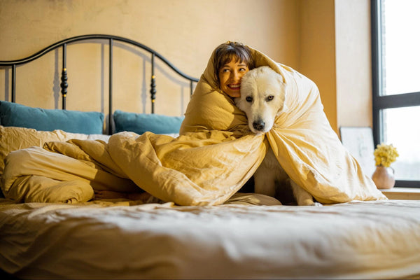 Dormir con el Perro: ¿Sí o No? Todo lo que Necesitas Saber