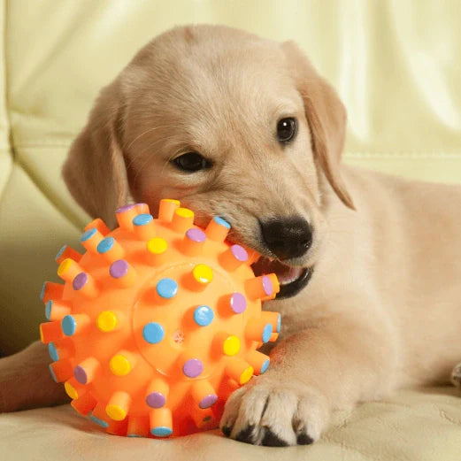 Mejores juguetes para perros que no conocías 2023