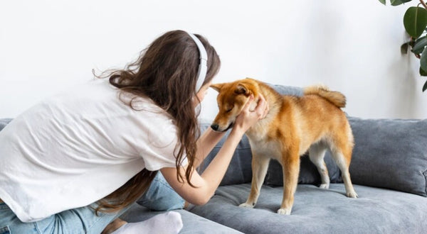 Lenguaje Canino: 15 Señales para Entenderlos (Fundamentales)