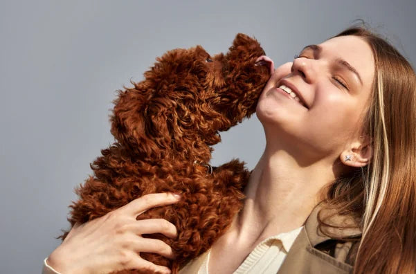 ¿Por qué mi perro me lame? Los 5 Significados