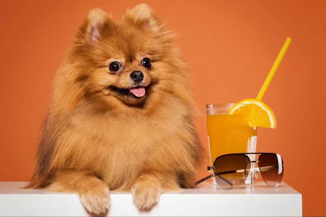 Vitamina C para Perros: 12 Mejores Alimentos y Dosis (2025)