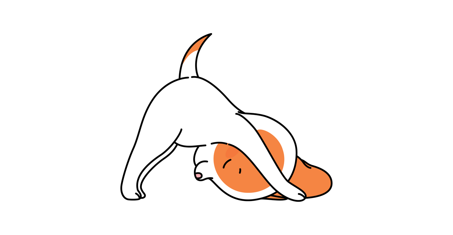 Más Vendidos Perros