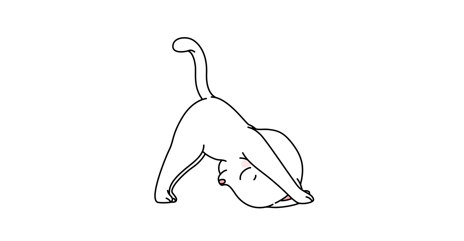 Más Vendidos Gatos