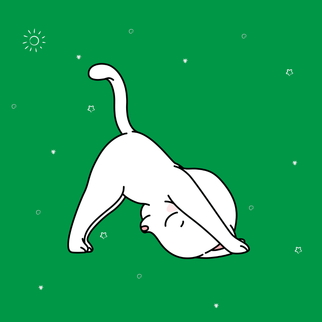 Más Vendidos Gatos