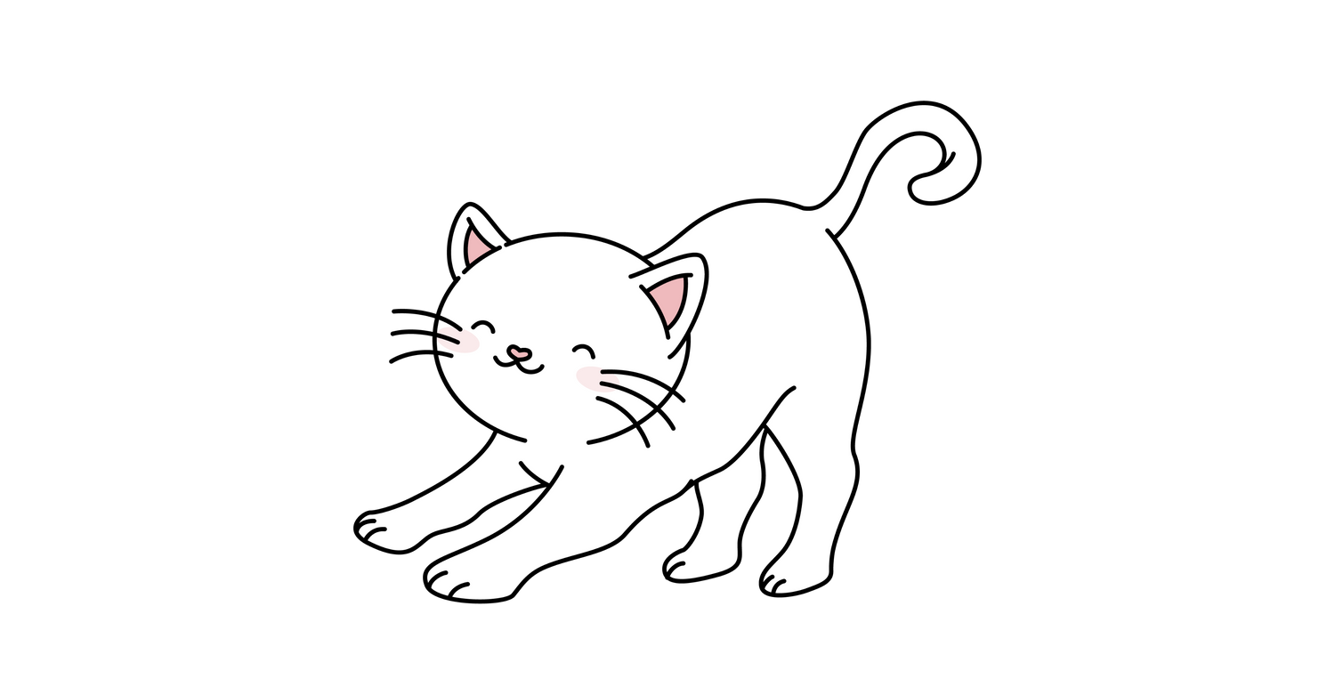 Longevidad & Vitalidad Gatos