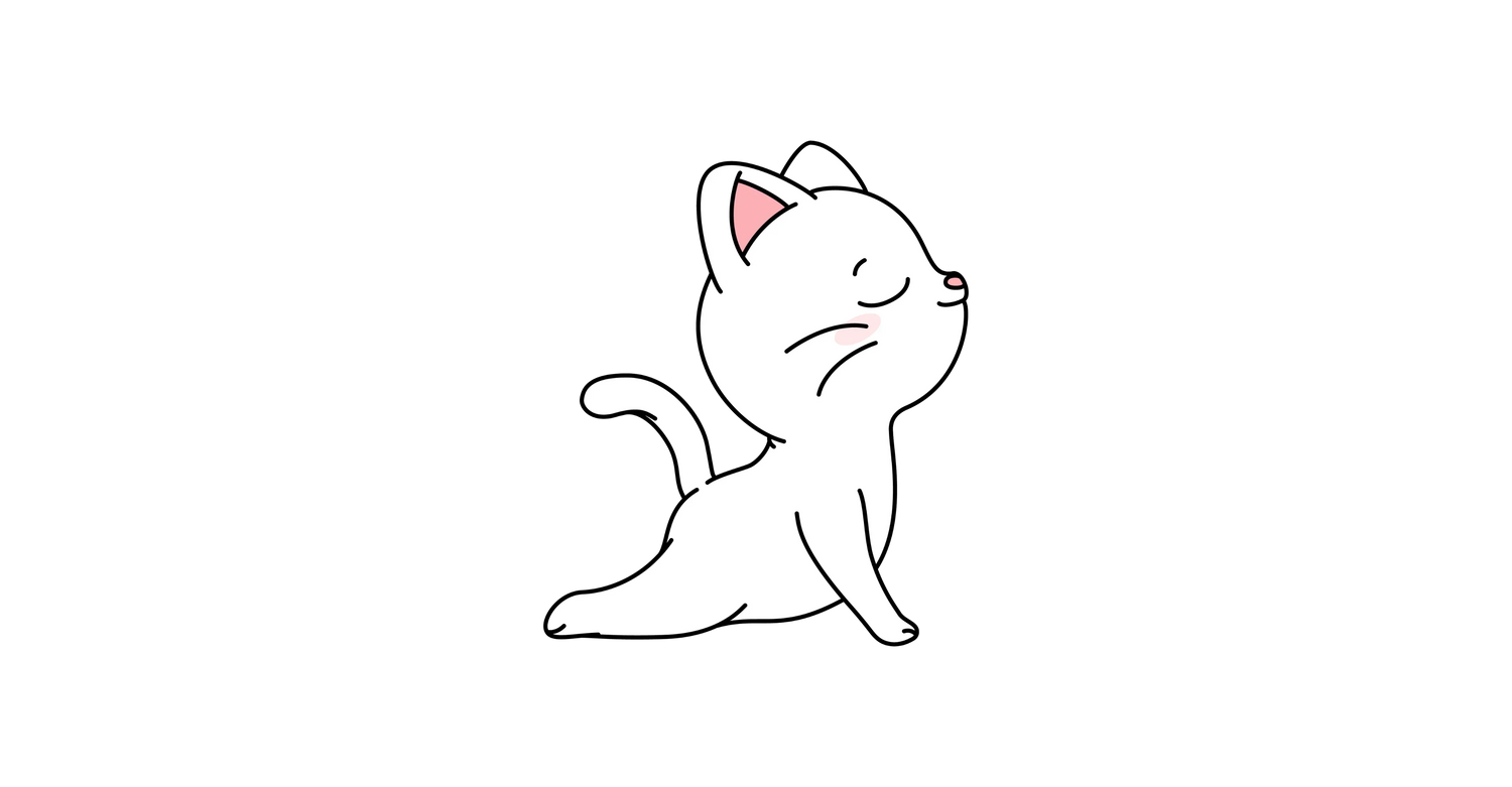 Bundles Gatos