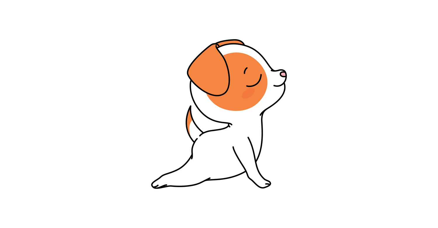 Bundles Perros