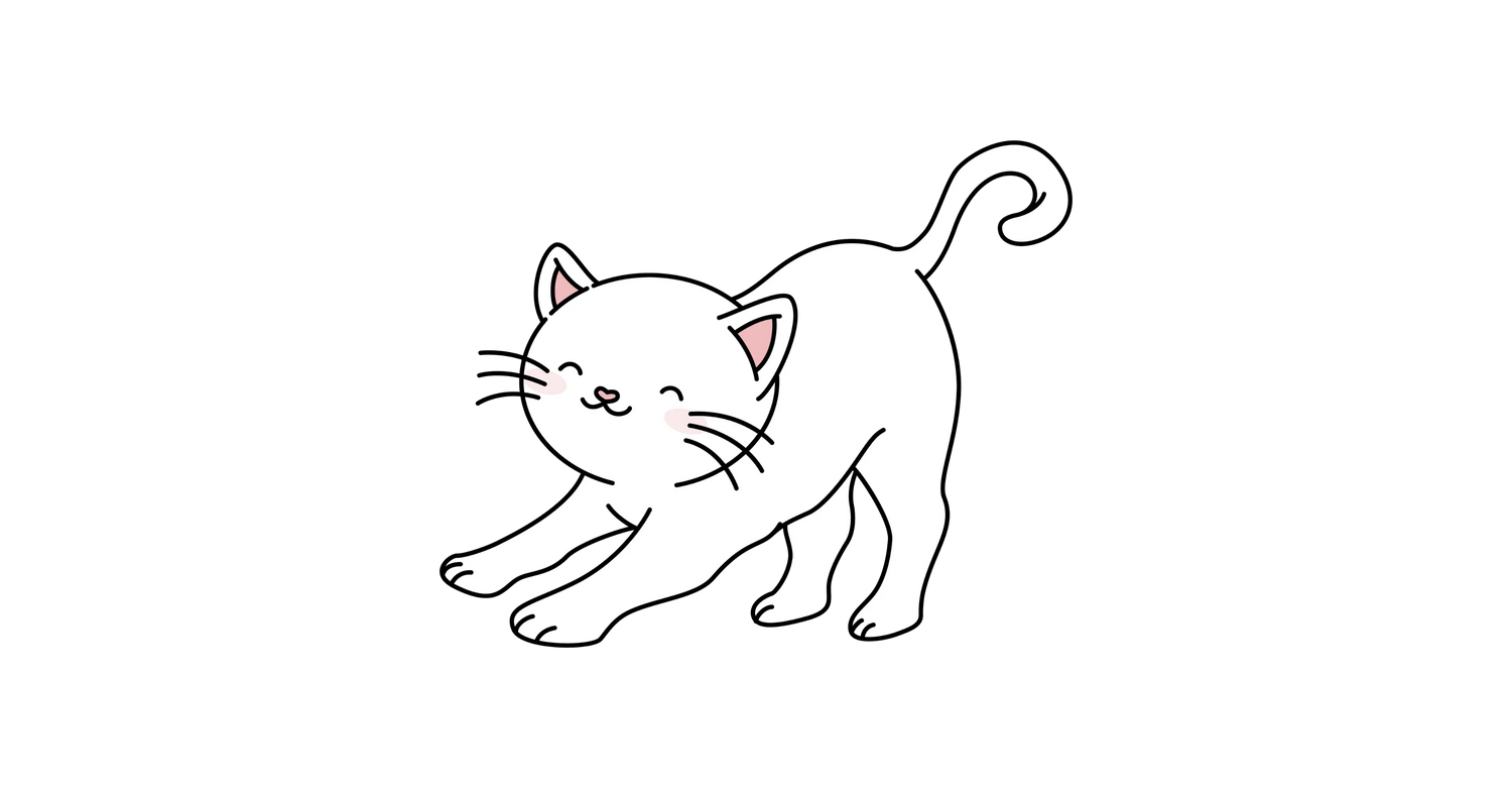 Entrenamiento & Diversión Gatos