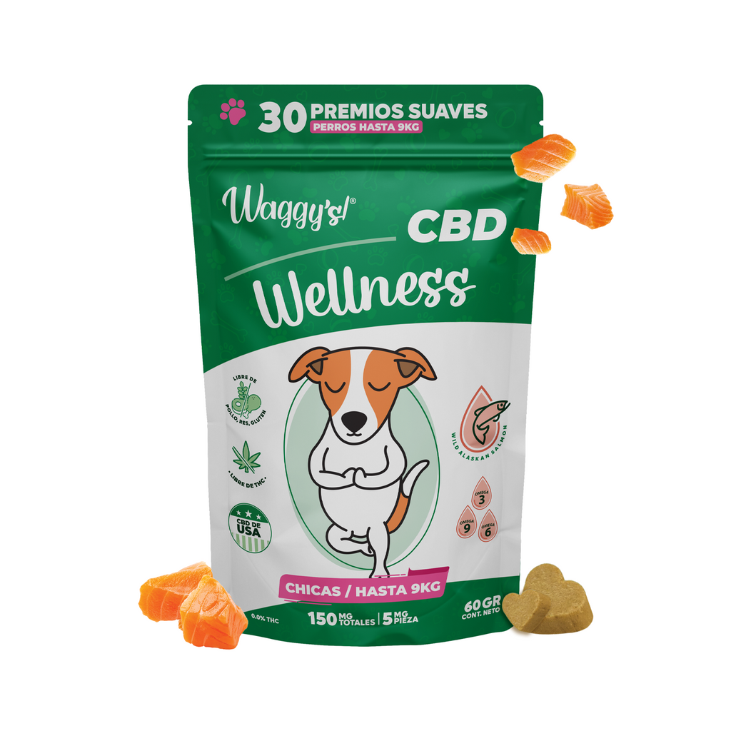 premios naturales perros