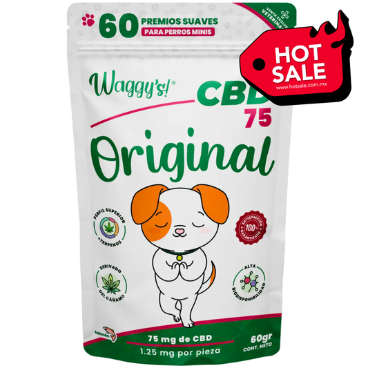Premios Calmantes para Ansiedad y Dolor en Perros | Waggy's Original