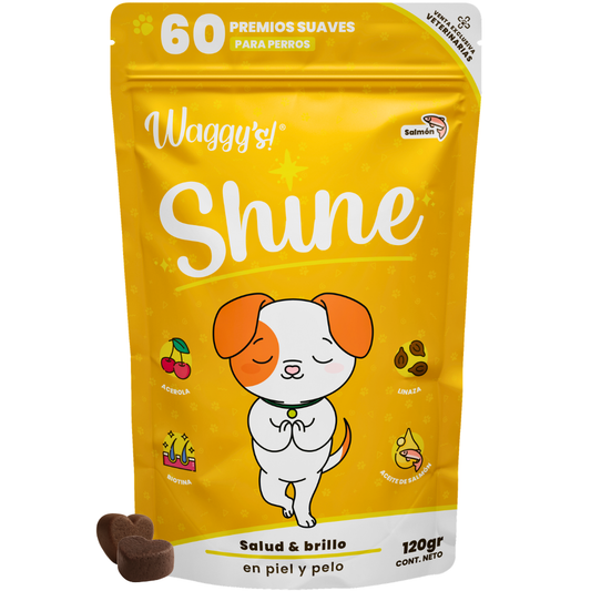 Suplemento para Comezón y Caída de Pelo en Perros | Waggy's Shine