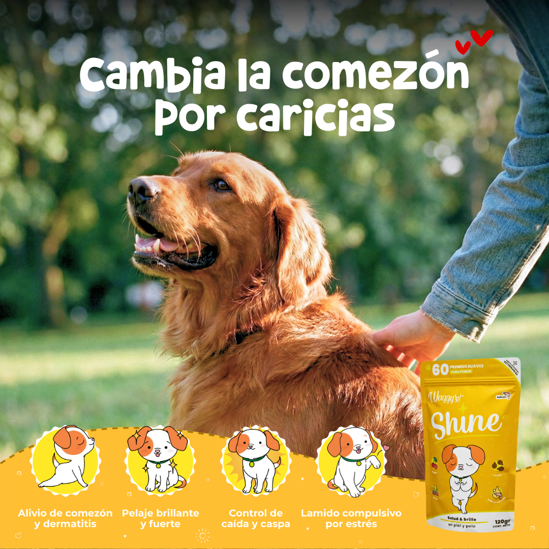 Paquete de Salud 360° para Perros | Waggy's Ultimate Wellness Kit