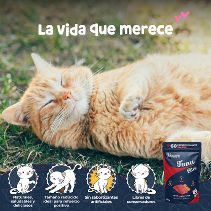 Premios Naturales y Nutritivos para Gatos | Waggy's Bites