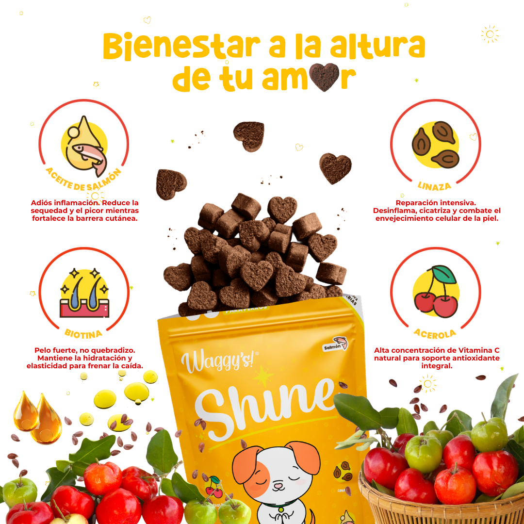 Paquete de Salud 360° para Perros | Waggy's Ultimate Wellness Kit