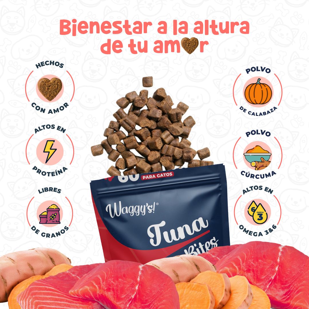 Premios Naturales y Nutritivos para Gatos | Waggy's Bites