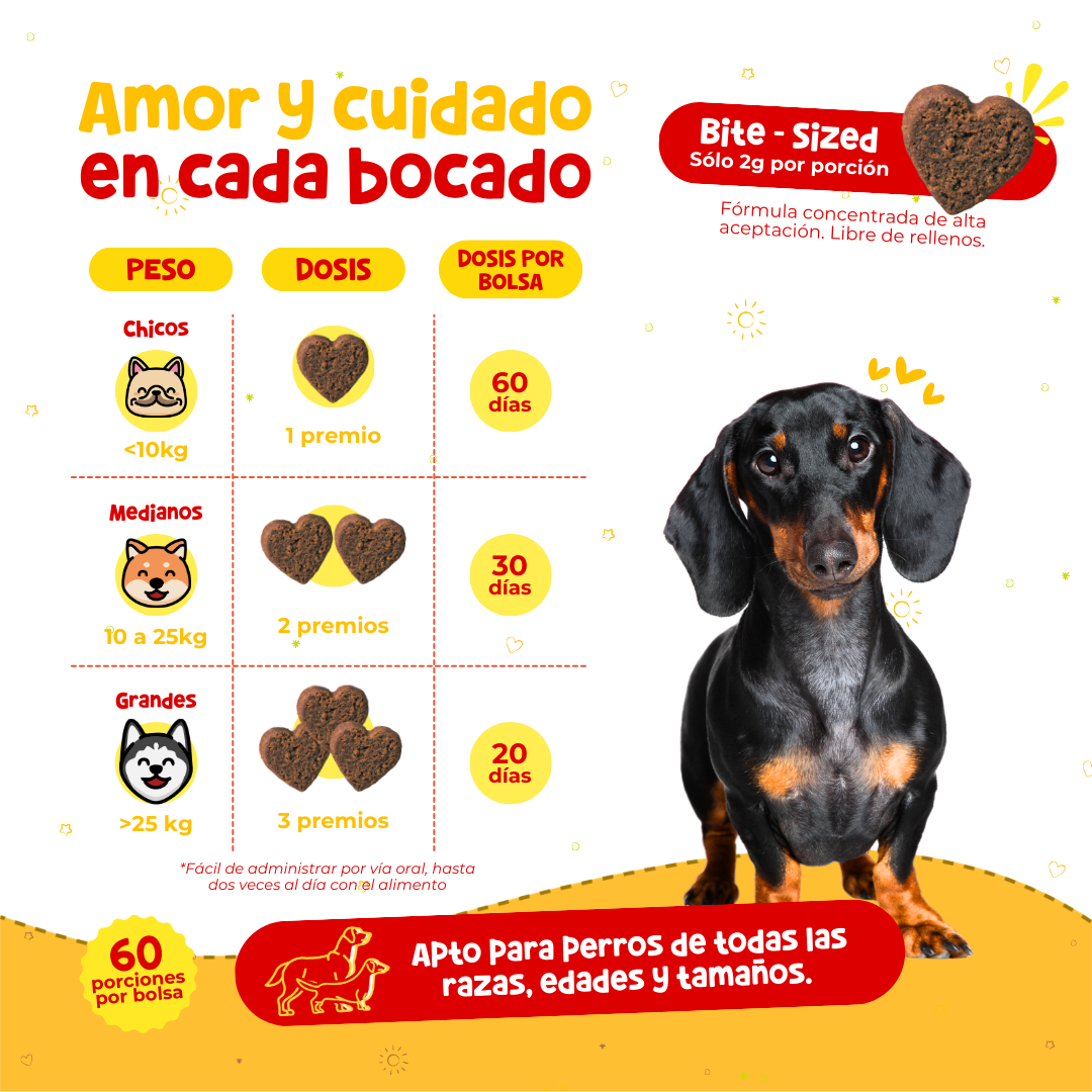 Suplemento para Comezón y Caída de Pelo en Perros | Waggy's Shine