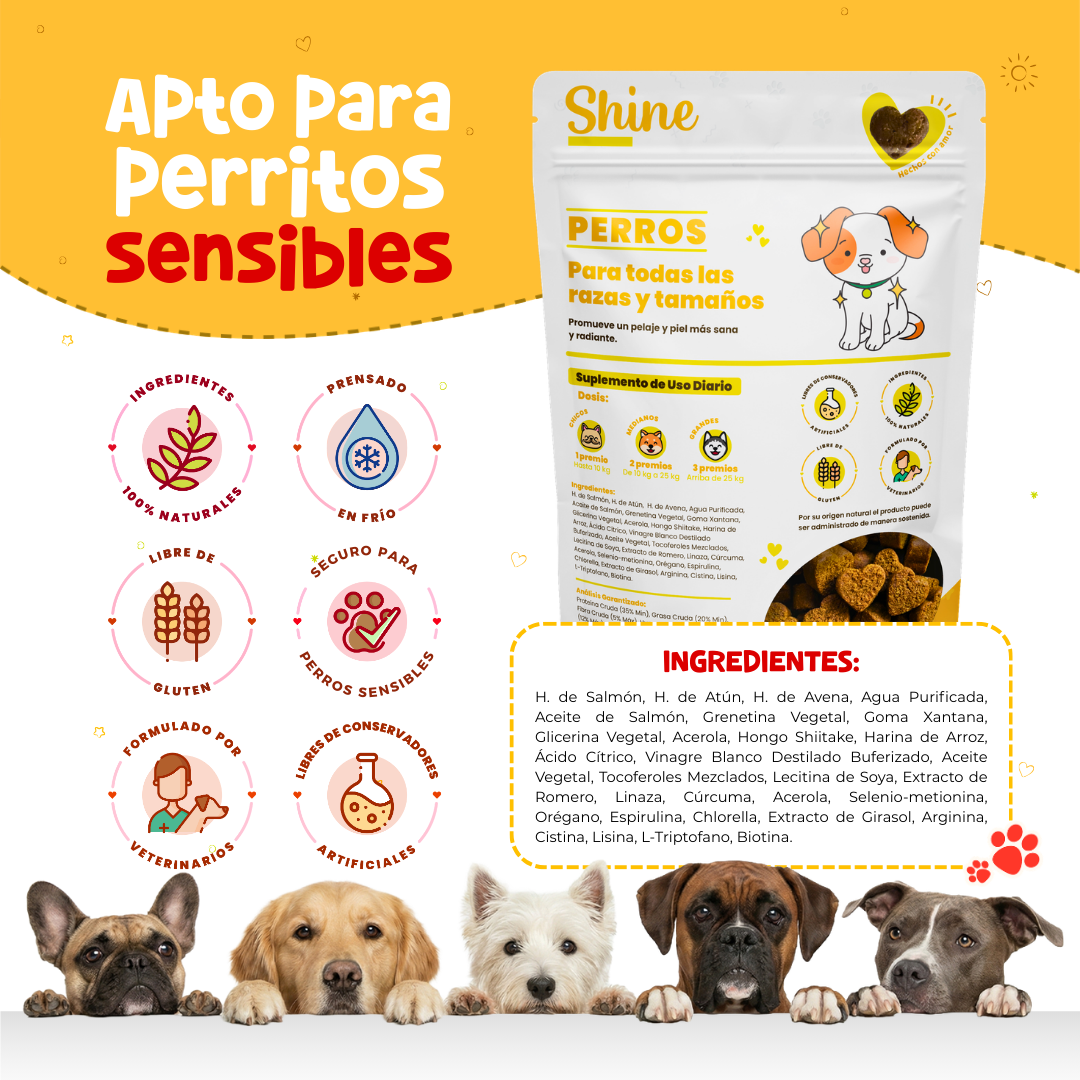 Suplemento para Comezón y Caída de Pelo en Perros | Waggy's Shine