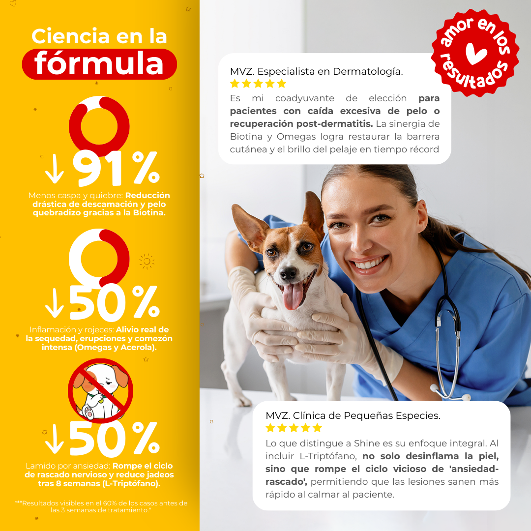 Suplemento para Comezón y Caída de Pelo en Perros | Waggy's Shine