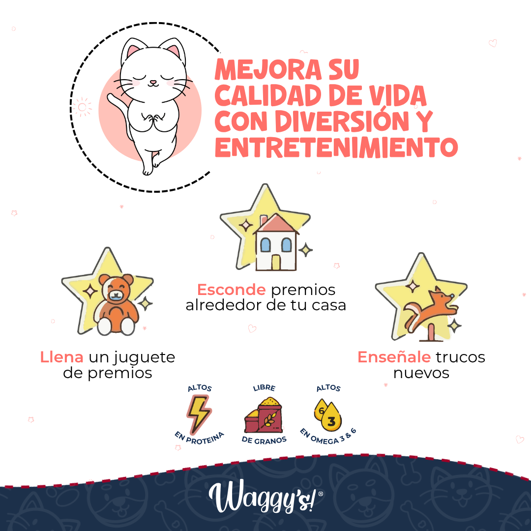 Premios Naturales y Nutritivos para Gatos | Waggy's Bites