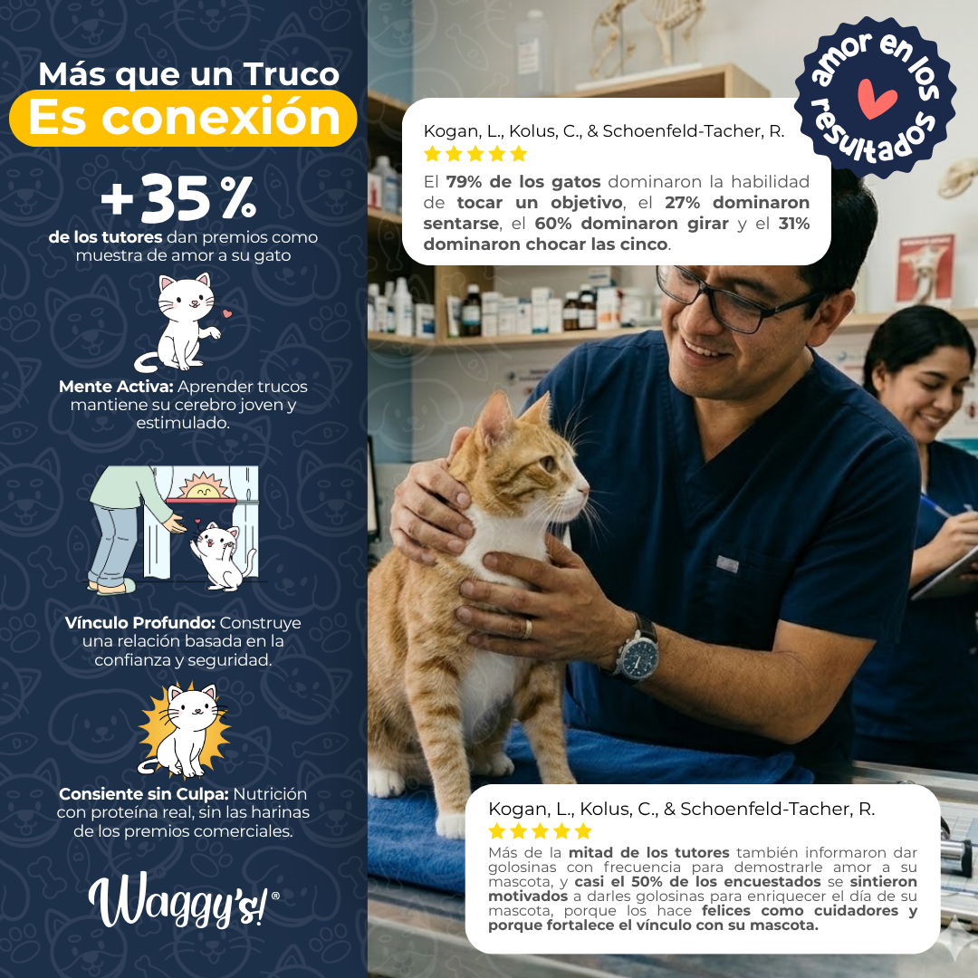 Premios Naturales y Nutritivos para Gatos | Waggy's Bites