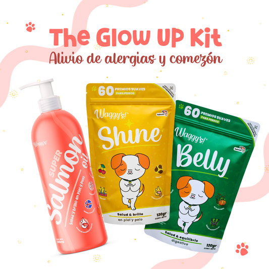 Paquete para Alergias y Comezón en Perros | Waggy's Glow Up Kit