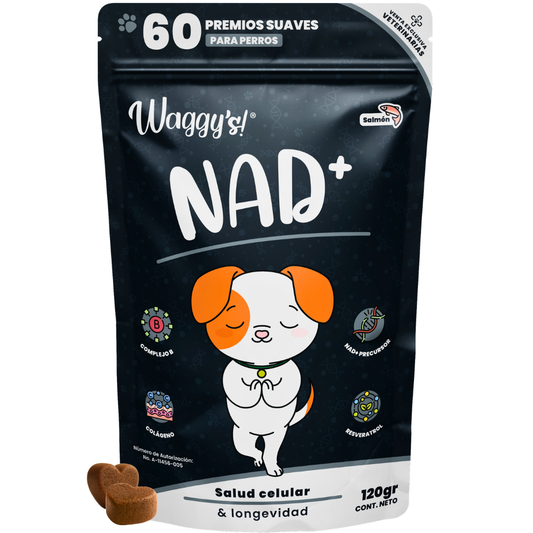 Suplemento Antienvejecimiento y Vitalidad para Perros | Waggy's NAD+