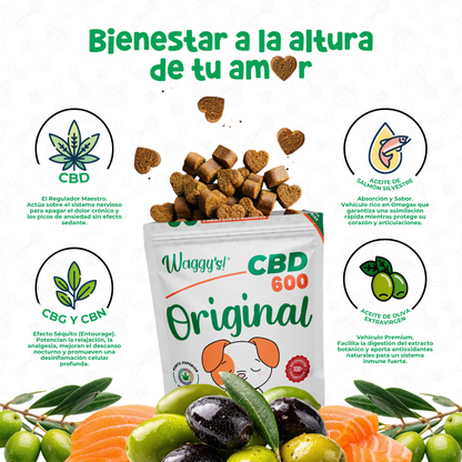 Premios Calmantes para Ansiedad y Dolor en Perros | Waggy's Original