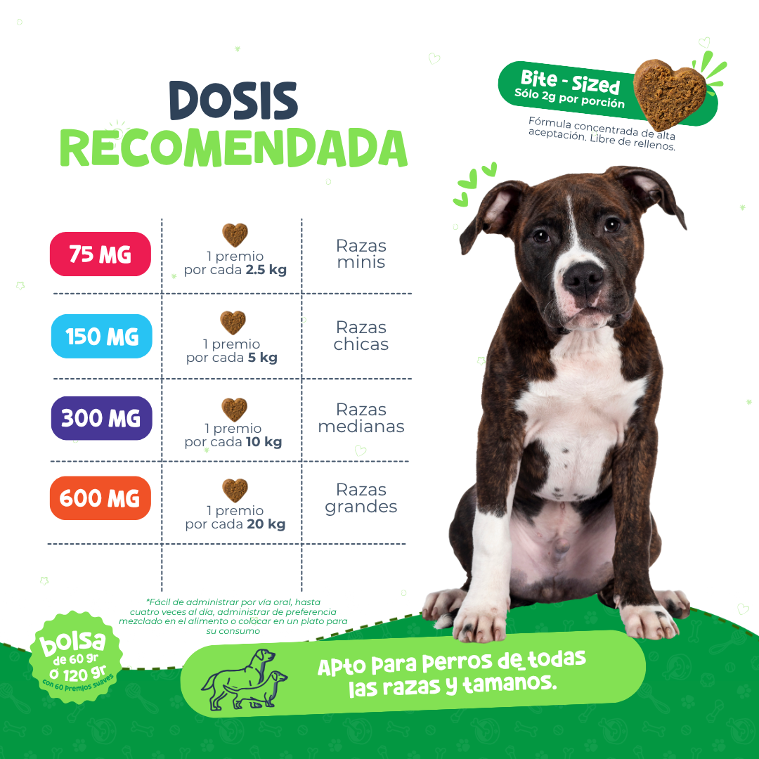 Premios Calmantes para Ansiedad y Dolor en Perros | Waggy's Original