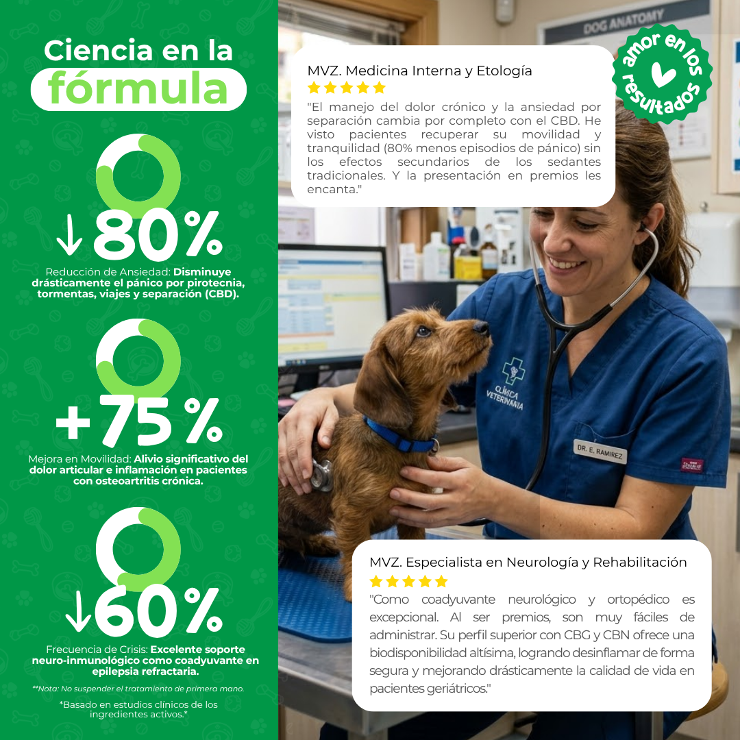 Premios Calmantes para Ansiedad y Dolor en Perros | Waggy's Original