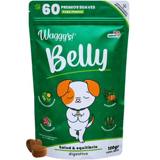 Probióticos para Digestión y Alergias en Perros | Waggy's Belly