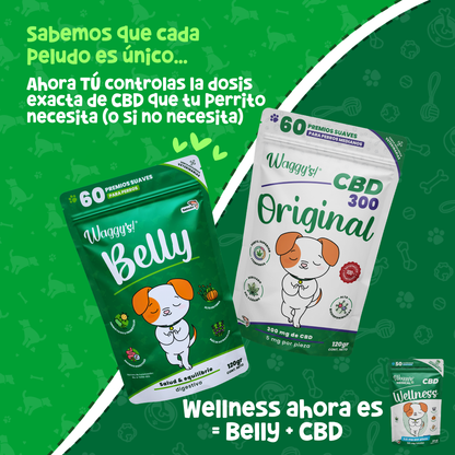 Probióticos para Digestión y Alergias en Perros | Waggy's Belly