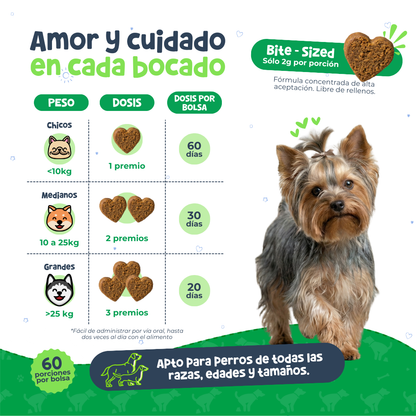 Probióticos para Digestión y Alergias en Perros | Waggy's Belly