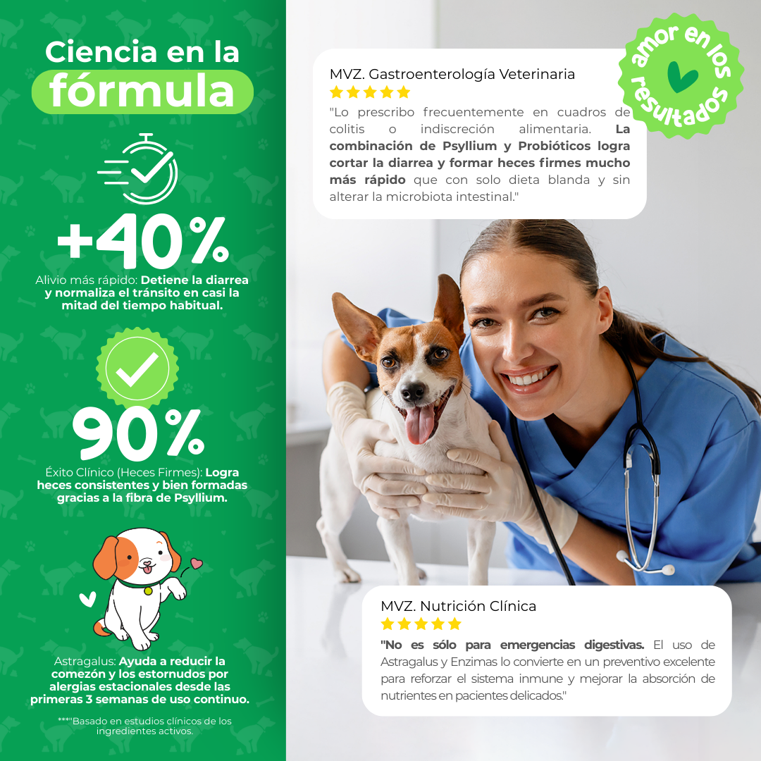 Probióticos para Digestión y Alergias en Perros | Waggy's Belly