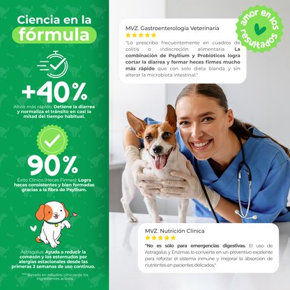 Probióticos para Digestión y Alergias en Perros | Waggy's Belly