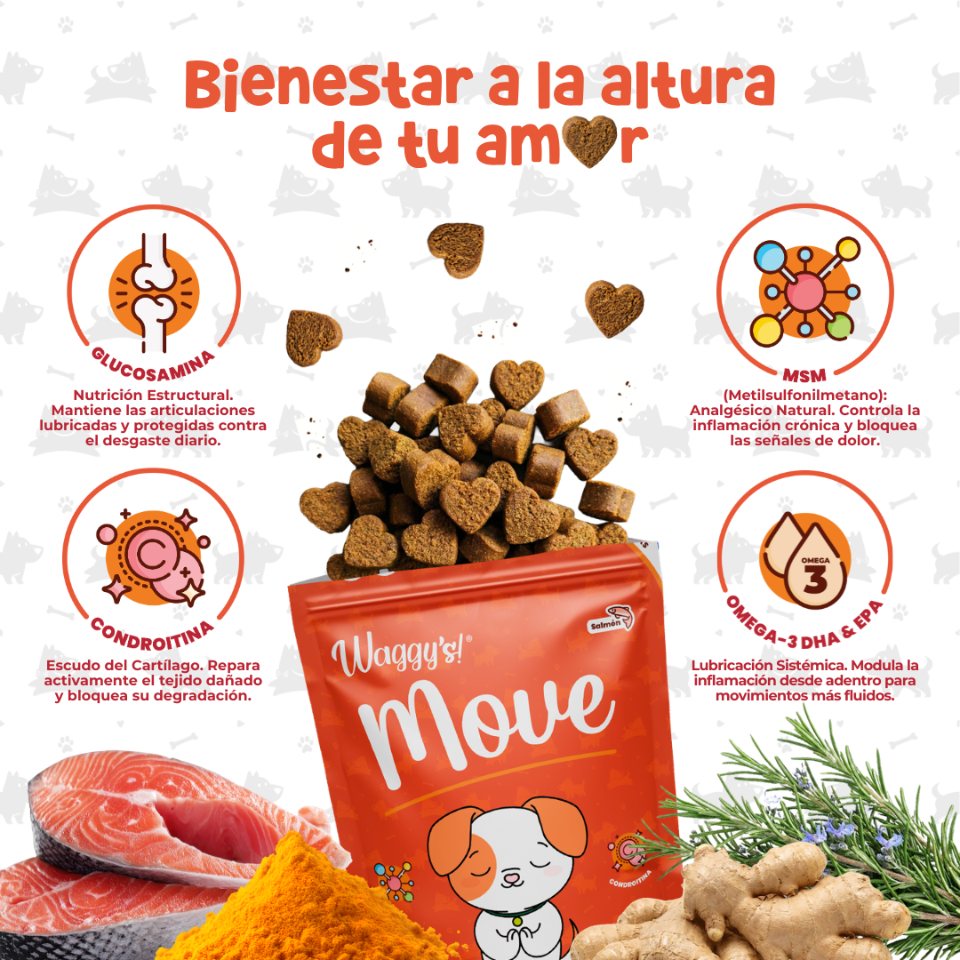 Paquete de Salud 360° para Perros | Waggy's Ultimate Wellness Kit