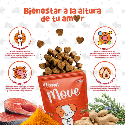 Paquete de Salud 360° para Perros | Waggy's Ultimate Wellness Kit