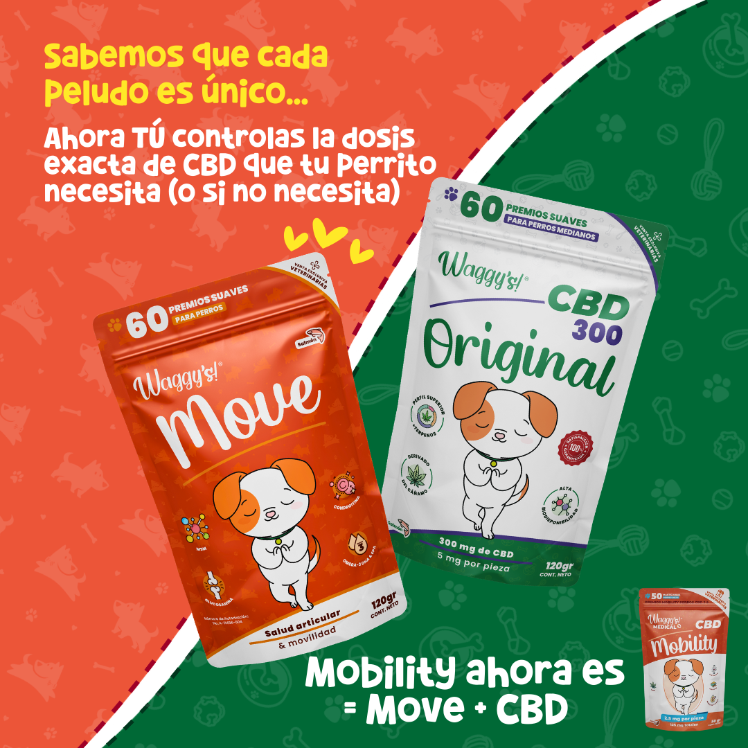 Suplemento Articular para Movilidad y Dolor en Perros | Waggy's Move